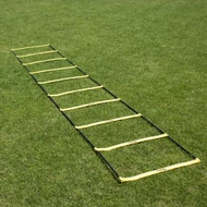 Gyorsaság és reakció